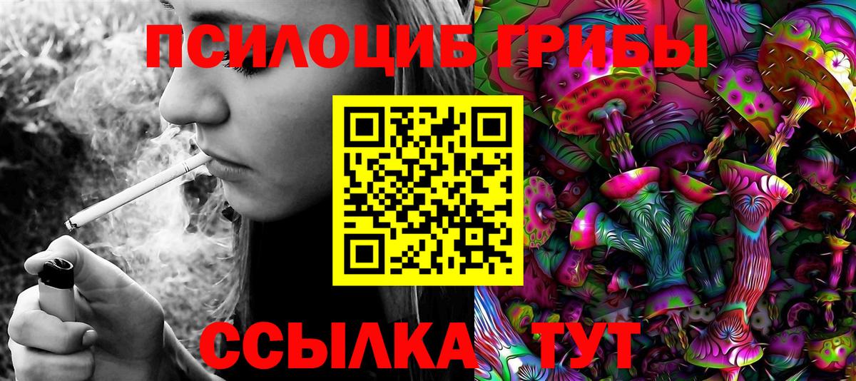 Новокубанск  Псилоцибиновые грибы прущие грибы  Вход с VPN 